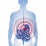 Mucus in Stool: Causes and Remedies | Just-Health.net