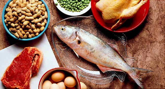 What Happens If You Eat Too Much of Protein? | Just-Health.net